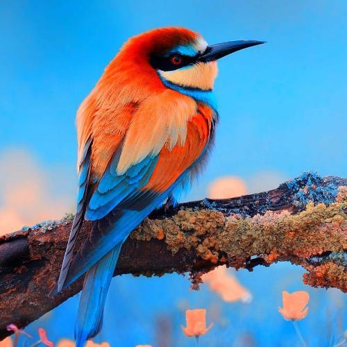 สมาชิกหมายเลข 4925968