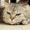 สมาชิกหมายเลข 4926029