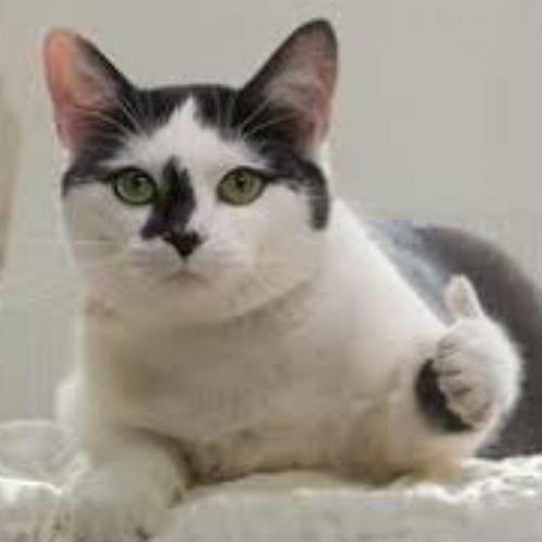 สมาชิกหมายเลข 1116247