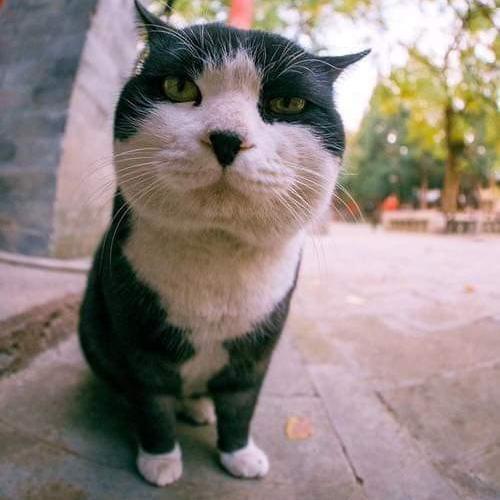 สมาชิกหมายเลข 5324994