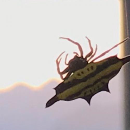 สมาชิกหมายเลข 5778578