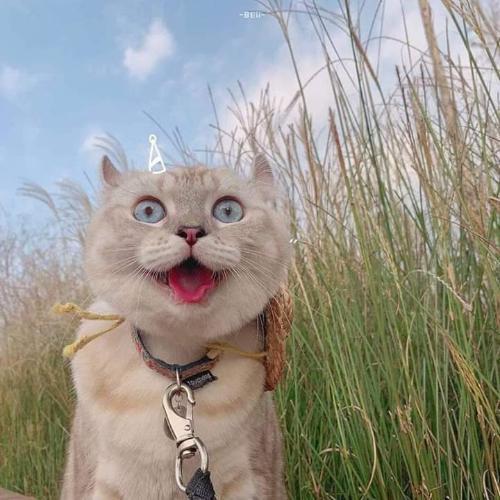 สมาชิกหมายเลข 5790356