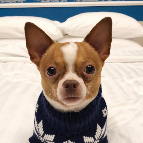 สมาชิกหมายเลข 3121597