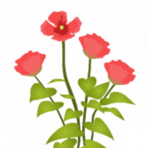 สมาชิกหมายเลข 3527331