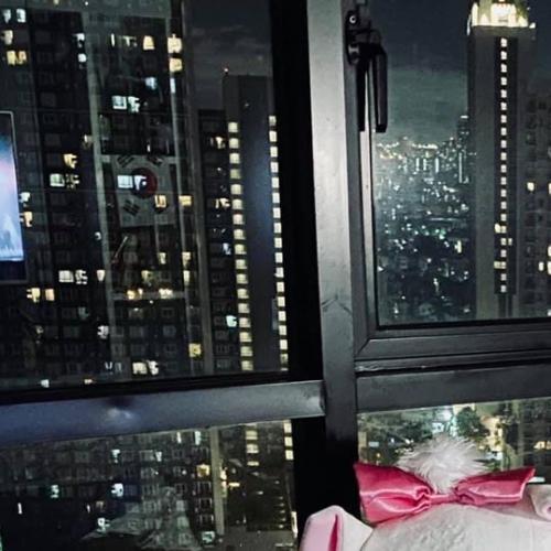 สมาชิกหมายเลข 6391934