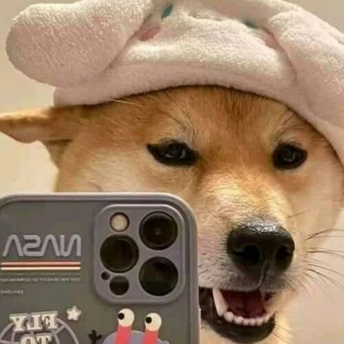 สมาชิกหมายเลข 7079435