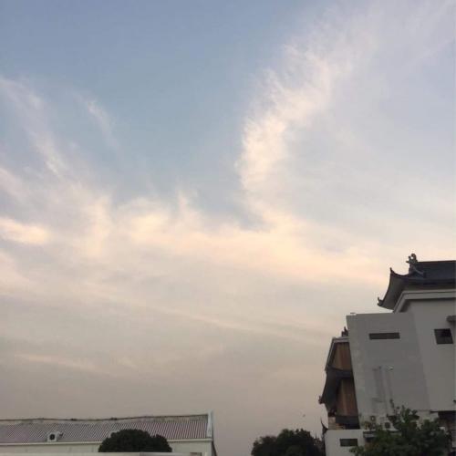 สมาชิกหมายเลข 7079782