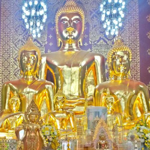 สมาชิกหมายเลข 7775704