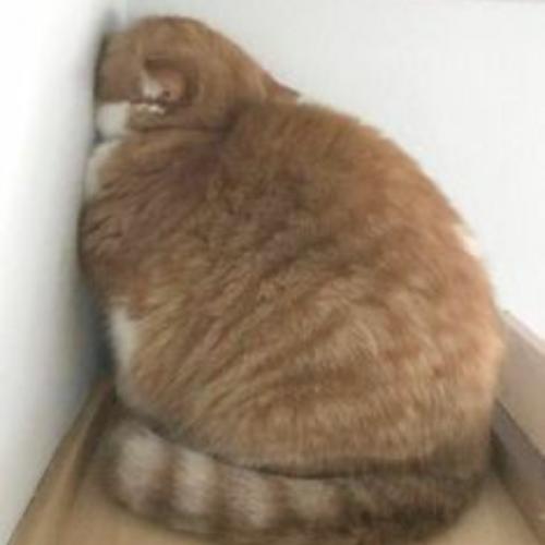 สมาชิกหมายเลข 7854039