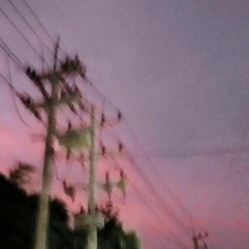 สมาชิกหมายเลข 7854225