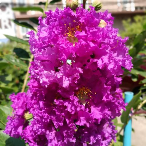 คนที่ไม่เคยรู้จัก