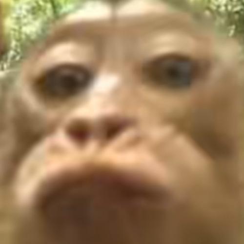 สมาชิกหมายเลข 7329989