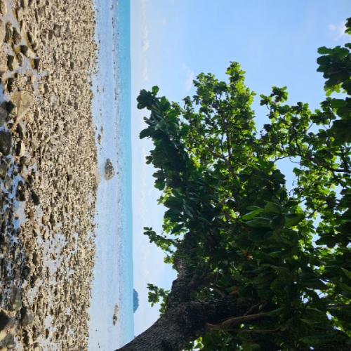 สมาชิกหมายเลข 8853342