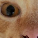 สมาชิกหมายเลข 1633964