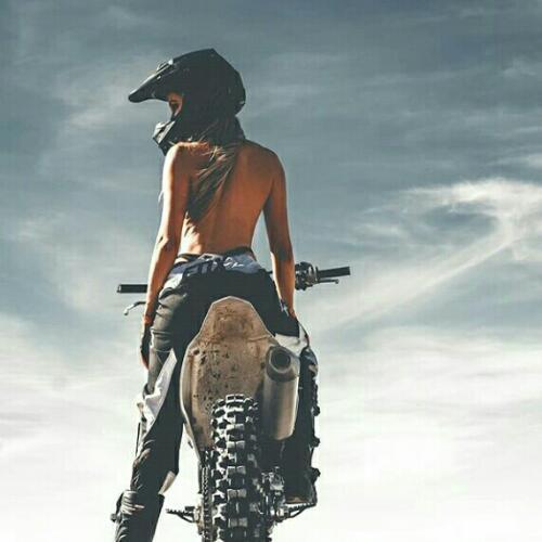 สมาชิกหมายเลข 2839269