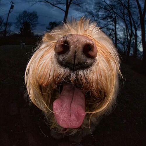 สมาชิกหมายเลข 4582410