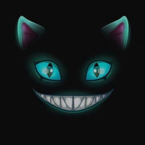 สมาชิกหมายเลข 2164405