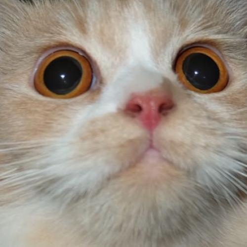 สมาชิกหมายเลข 3911427