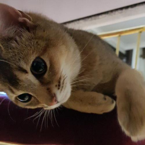 สมาชิกหมายเลข 4926422