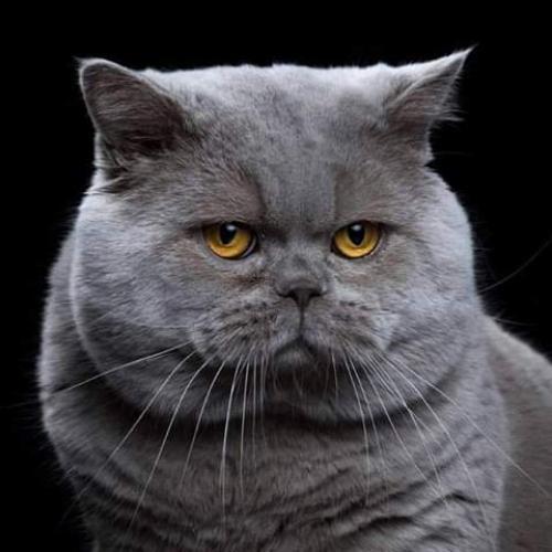 สมาชิกหมายเลข 5325025