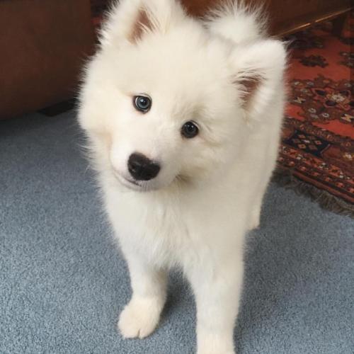 สมาชิกหมายเลข 4832669