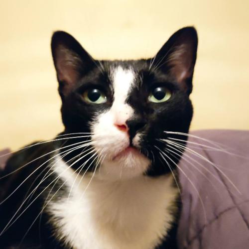 สมาชิกหมายเลข 6393280