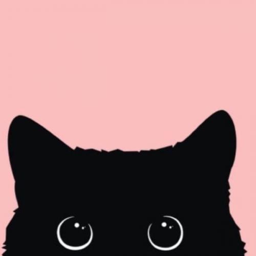 สมาชิกหมายเลข 6399604