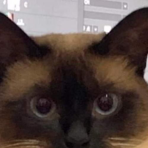 สมาชิกหมายเลข 6992312