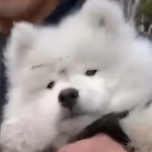 สมาชิกหมายเลข 7279622