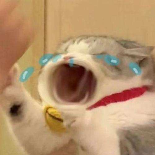 สมาชิกหมายเลข 8851559