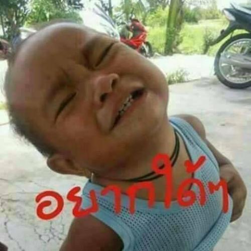 สมาชิกหมายเลข 1572881