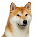 สมาชิกหมายเลข 4582550