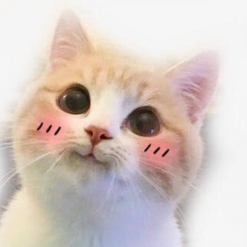 สมาชิกหมายเลข 5791338