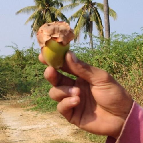 สมาชิกหมายเลข 5791691