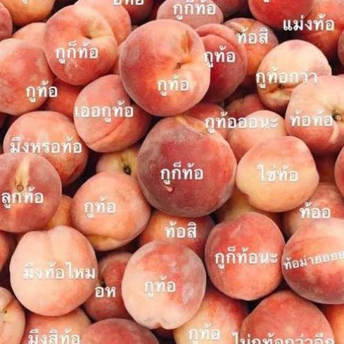 สมาชิกหมายเลข 3499432