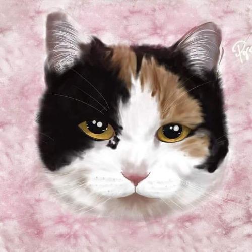 สมาชิกหมายเลข 4076094