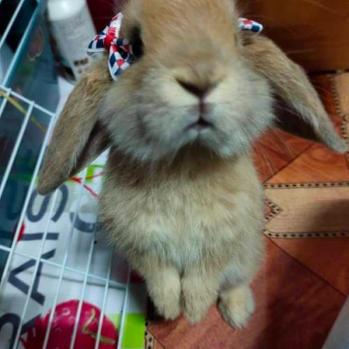 สมาชิกหมายเลข 3604594