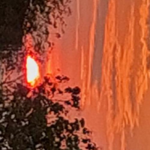 สมาชิกหมายเลข 7080951