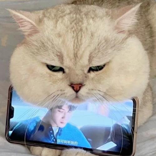 ร้อยตำรวจเอก ปลอมตัวมา