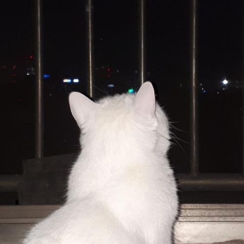 สมาชิกหมายเลข 7752568