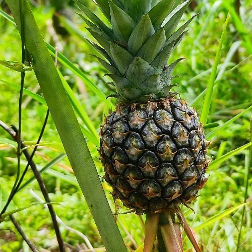 สมาชิกหมายเลข 8349385