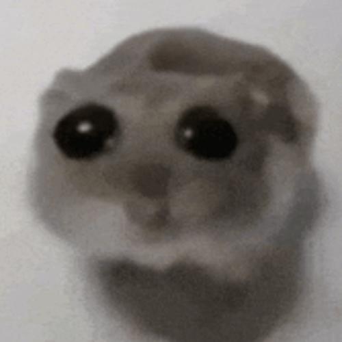 สมาชิกหมายเลข 8855925