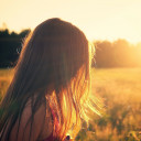 สมาชิกหมายเลข 3587234