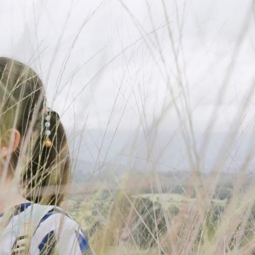 สมาชิกหมายเลข 4499508