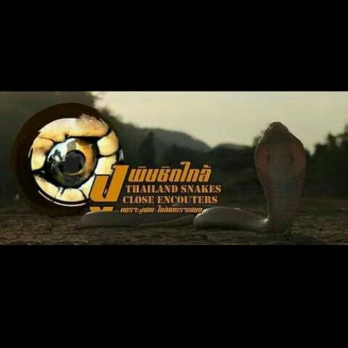 สมาชิกหมายเลข 4786969