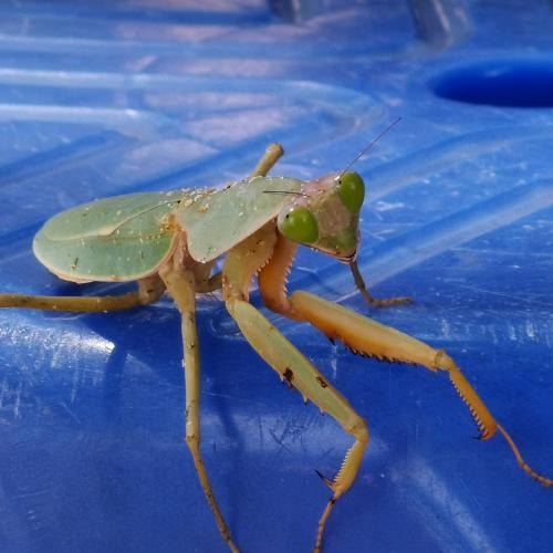 สมาชิกหมายเลข 5059701