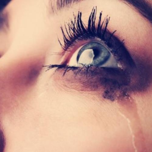 สมาชิกหมายเลข 4339701