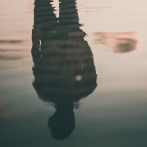 สมาชิกหมายเลข 4567611