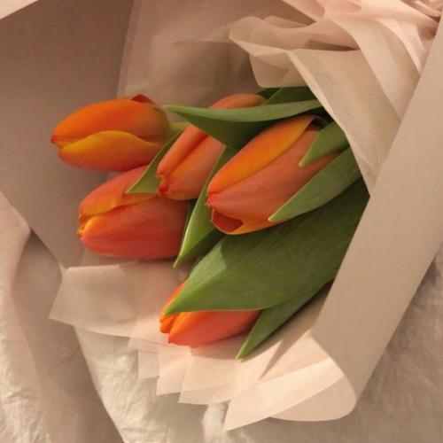 สมาชิกหมายเลข 4856963