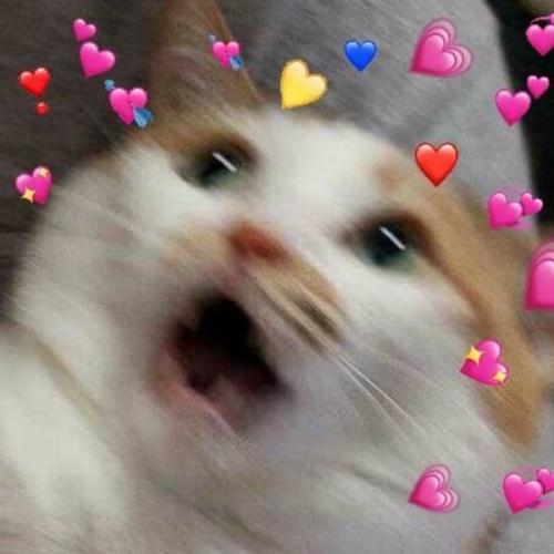 สมาชิกหมายเลข 5711886